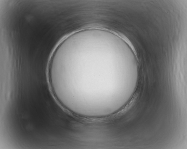 X0000099460997200805090744