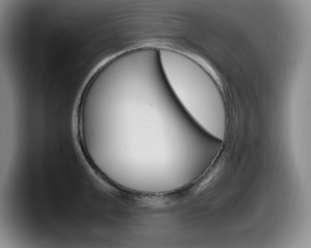X0000099460999200805090744