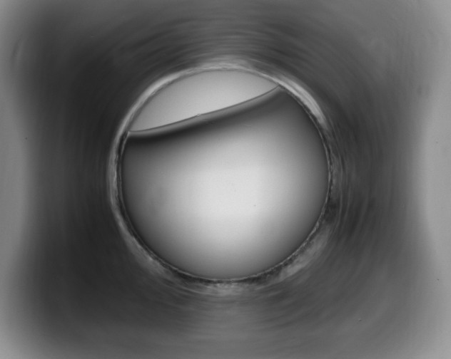 X0000099461000200805090744