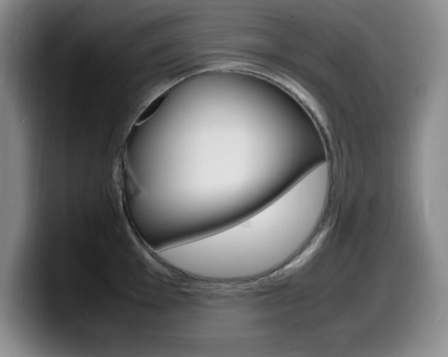 X0000099461001200805090744
