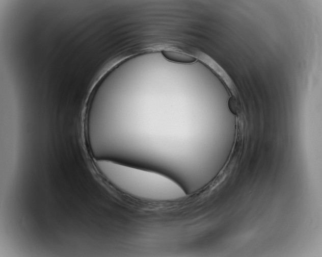 X0000099461002200805090744