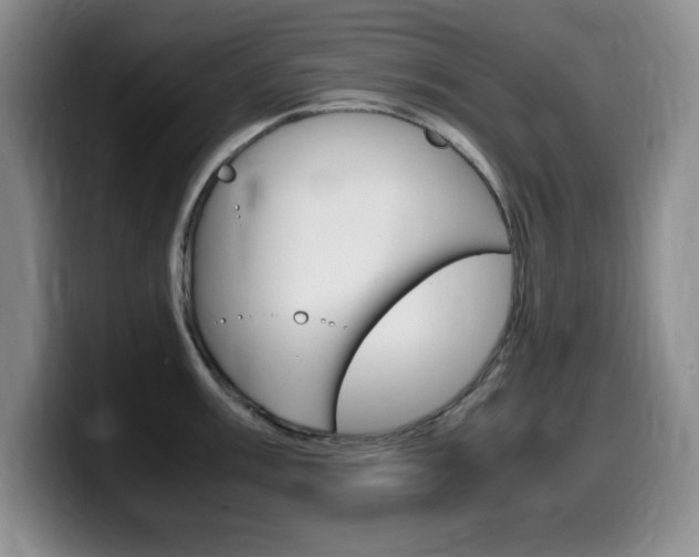 X0000099461003200805090743