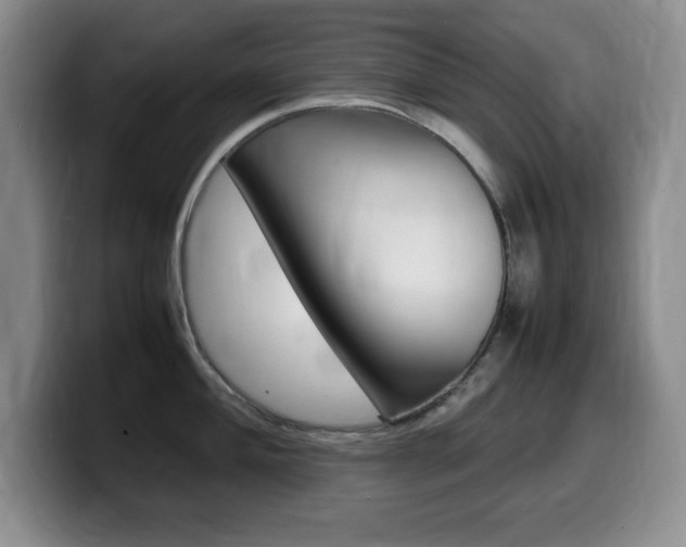 X0000099461004200805090743