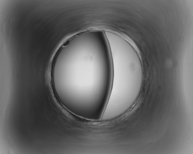 X0000099461005200805090743