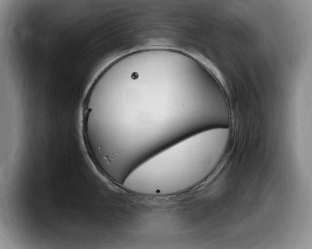 X0000099461006200805090743
