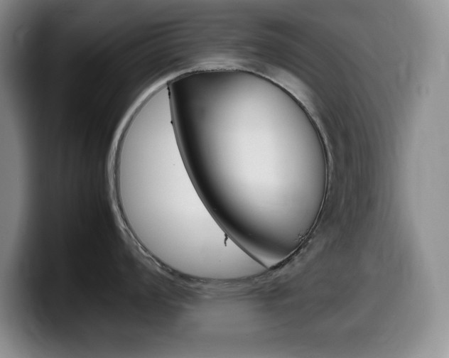 X0000099461008200805090743