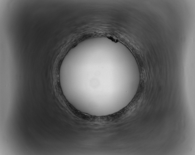 X0000099461009200805090743