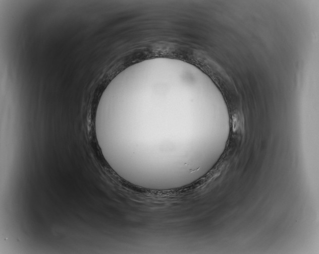 X0000099461011200805090743