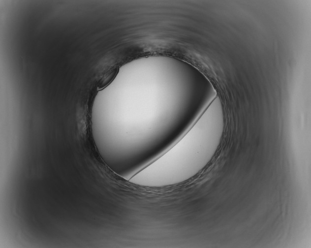 X0000099461012200805090743