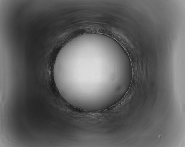 X0000099461013200805090743