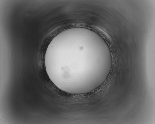 X0000099461015200805090743