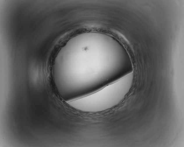 X0000099461016200805090743