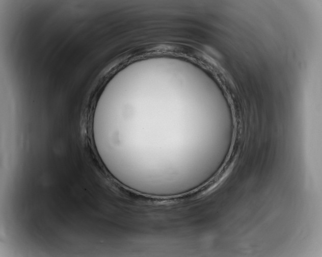X0000099461017200805090743