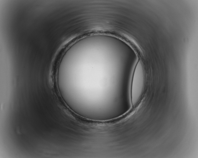 X0000099461018200805090743