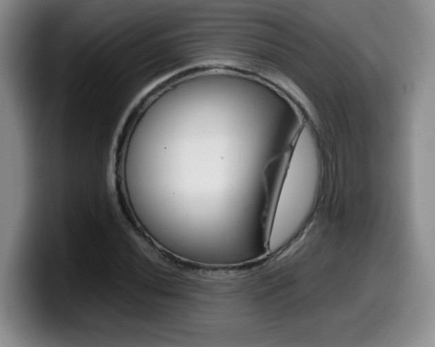 X0000099461020200805090743