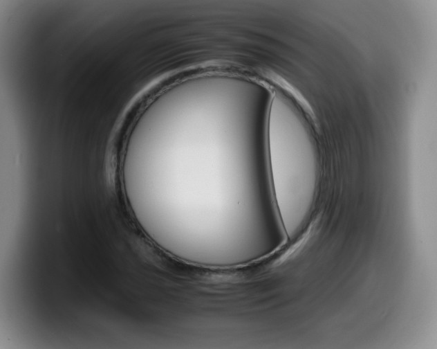 X0000099461021200805090743