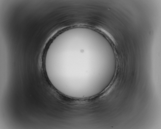 X0000099461023200805090743