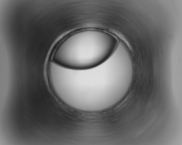 X0000099461024200805090743
