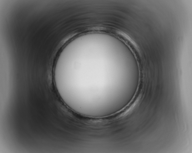 X0000099461025200805090743