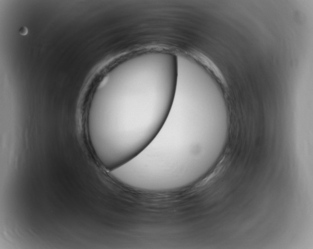 X0000099461027200805090743
