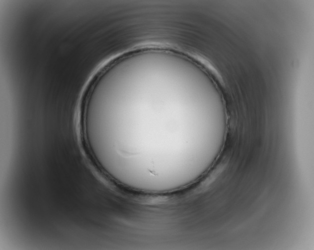 X0000099461030200805090743