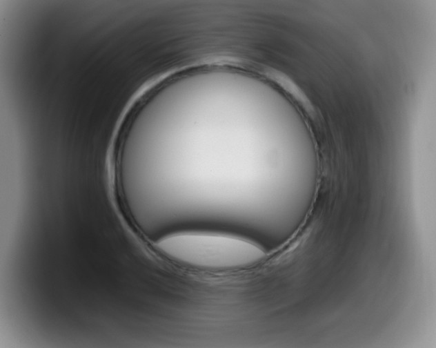 X0000099461032200805090743
