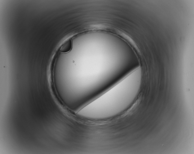 X0000099461034200805090743