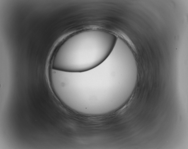 X0000099461035200805090743