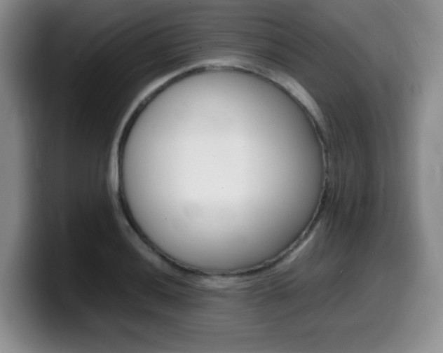 X0000099461036200805090743