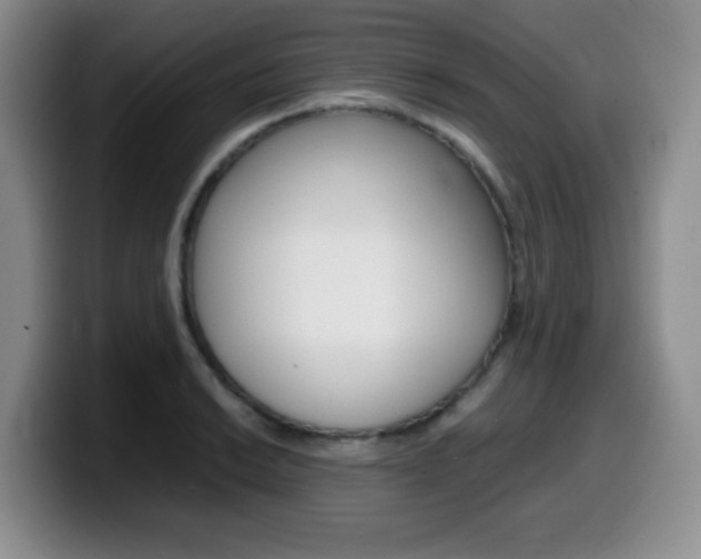 X0000099461038200805090743