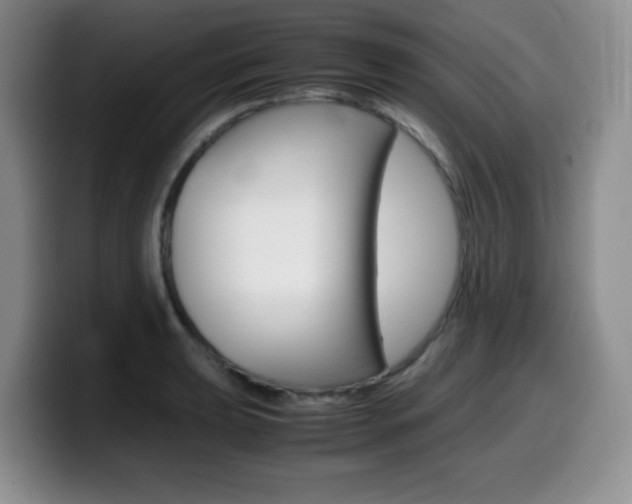 X0000099461039200805090743