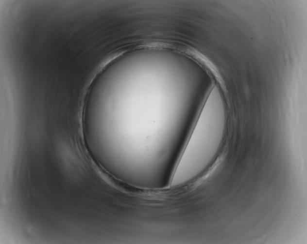 X0000099461041200805090743