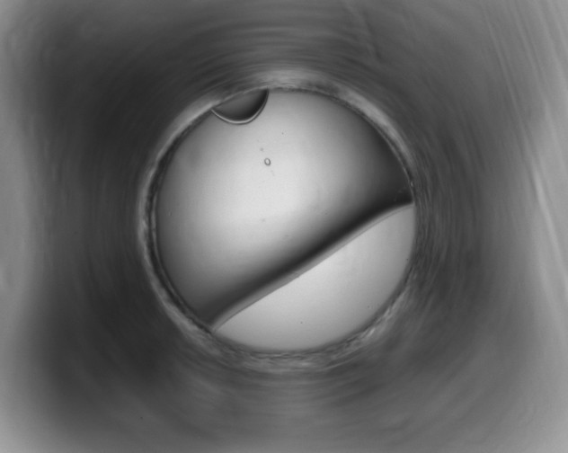 X0000099461042200805090743