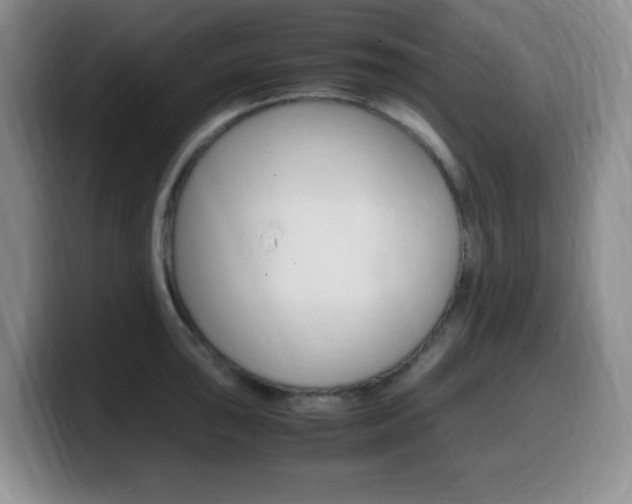 X0000099461043200805090743