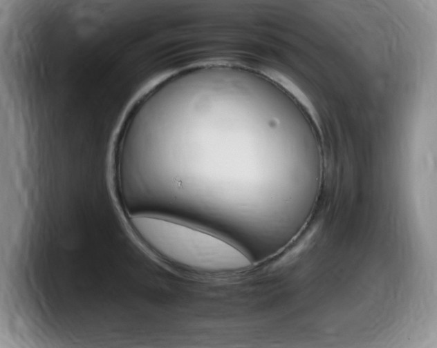 X0000099461045200805090743