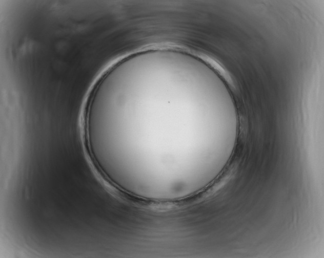 X0000099461046200805090743