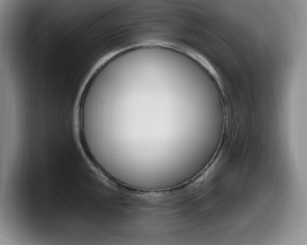 X0000099461048200805090743