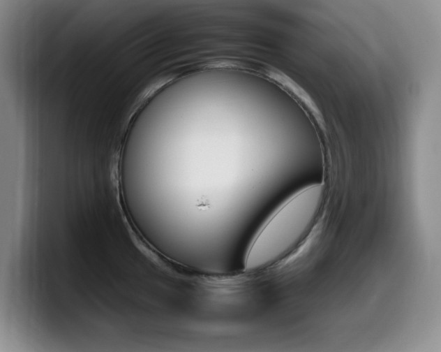 X0000099461049200805090743