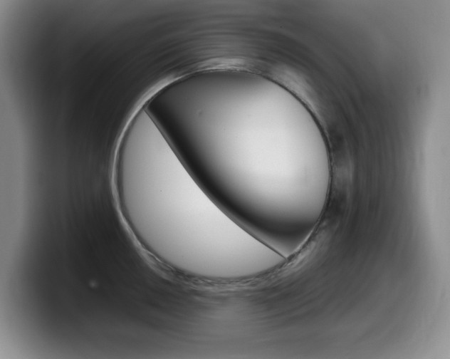 X0000099461050200805090743