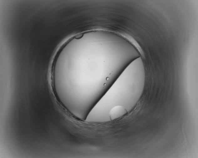 X0000099461051200805090743