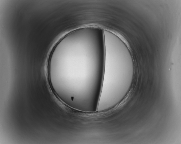 X0000099461054200805090743