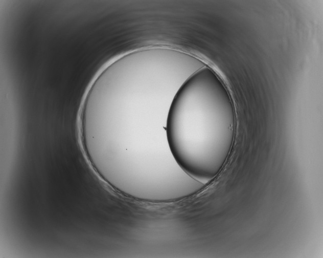 X0000099461056200805090743