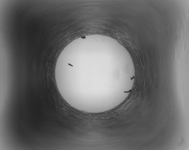 X0000099461059200805090743