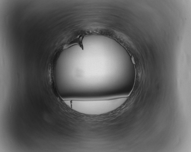 X0000099461060200805090743