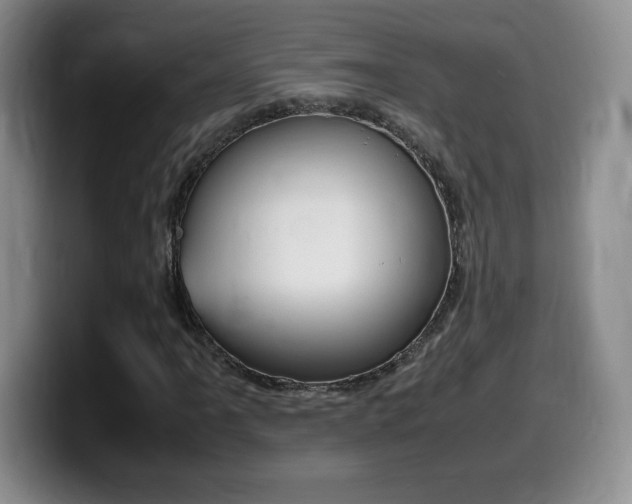 X0000099461061200805090743