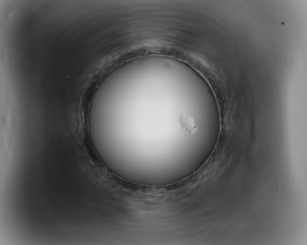 X0000099461062200805090743