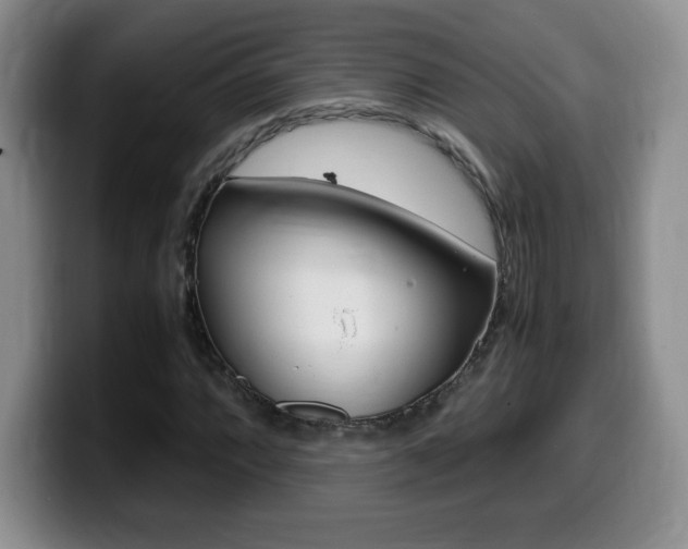 X0000099461064200805090743
