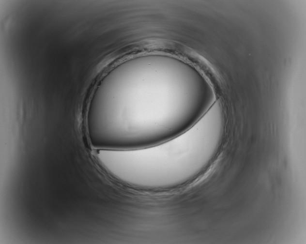 X0000099461065200805090743