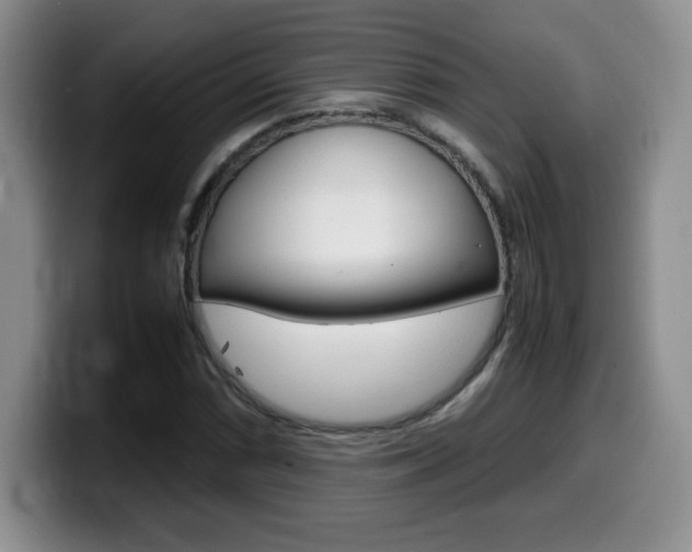 X0000099461066200805090743