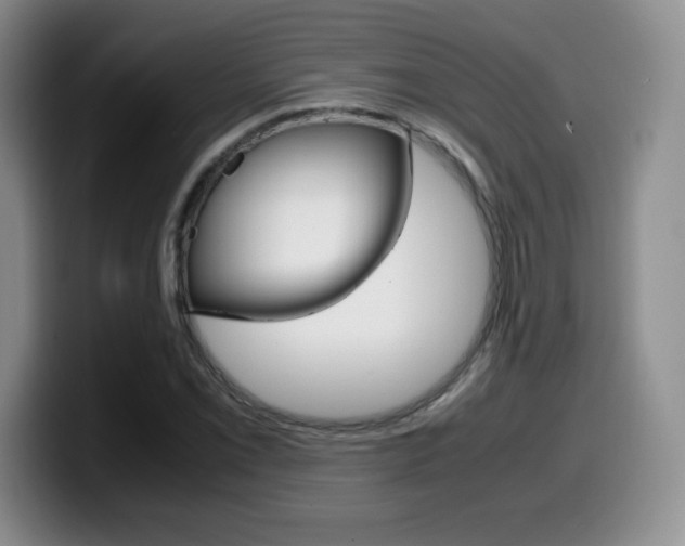 X0000099461069200805090743
